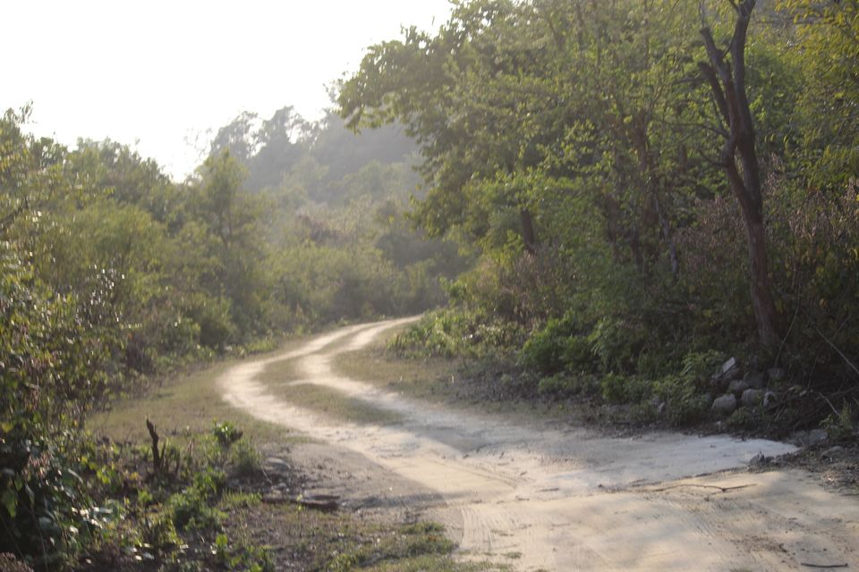 Photo of Jhirna Forest Rest House, Sona Nadi Range, Uttarakhand, India by Kapil Bhardwaj
