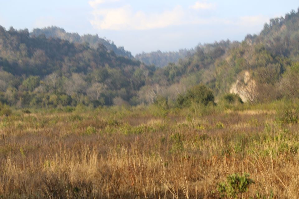 Photo of Jhirna Forest Rest House, Sona Nadi Range, Uttarakhand, India by Kapil Bhardwaj
