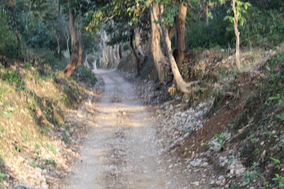 Photo of Jhirna Forest Rest House, Sona Nadi Range, Uttarakhand, India by Kapil Bhardwaj