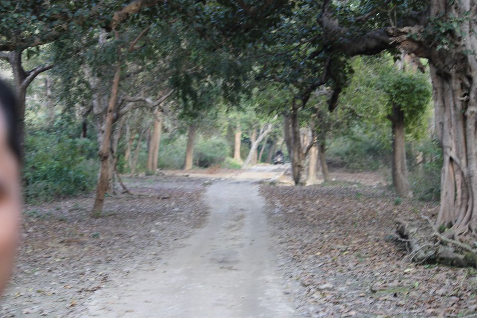 Photo of Jhirna Forest Rest House, Sona Nadi Range, Uttarakhand, India by Kapil Bhardwaj