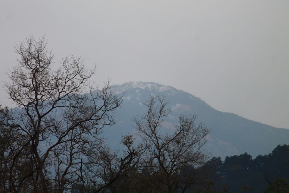 Photo of Teda, Uttarakhand, Republic of India by Kapil Bhardwaj