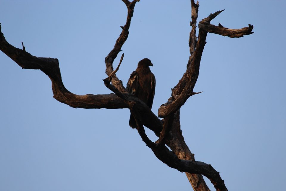 Photo of Jhirna Forest Rest House, Sona Nadi Range, Uttarakhand, India by Kapil Bhardwaj