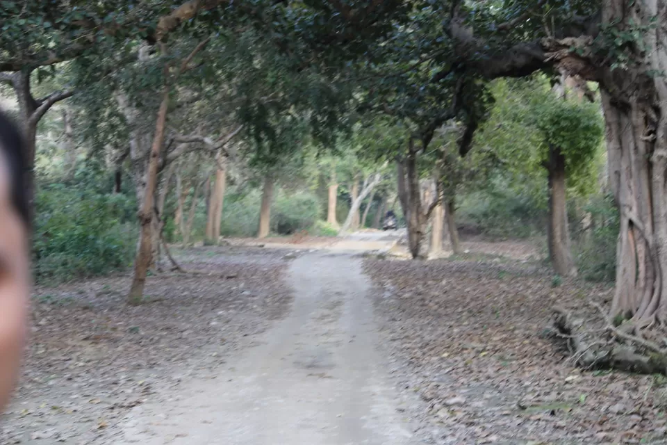 Photo of Jhirna Forest Rest House, Sona Nadi Range, Uttarakhand, India by Kapil Bhardwaj