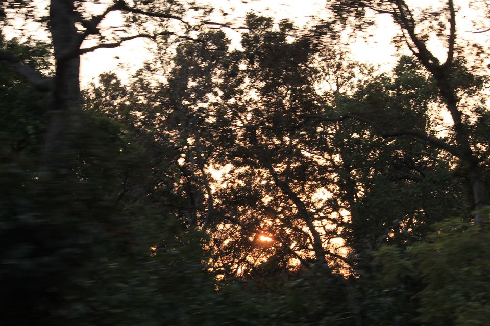 Photo of Jhirna Forest Rest House, Sona Nadi Range, Uttarakhand, India by Kapil Bhardwaj