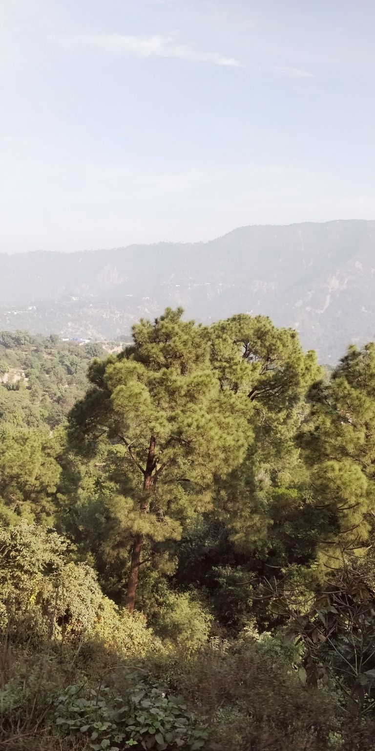 Photo of Mandi, Himachal Pradesh, India by Kapil Bhardwaj