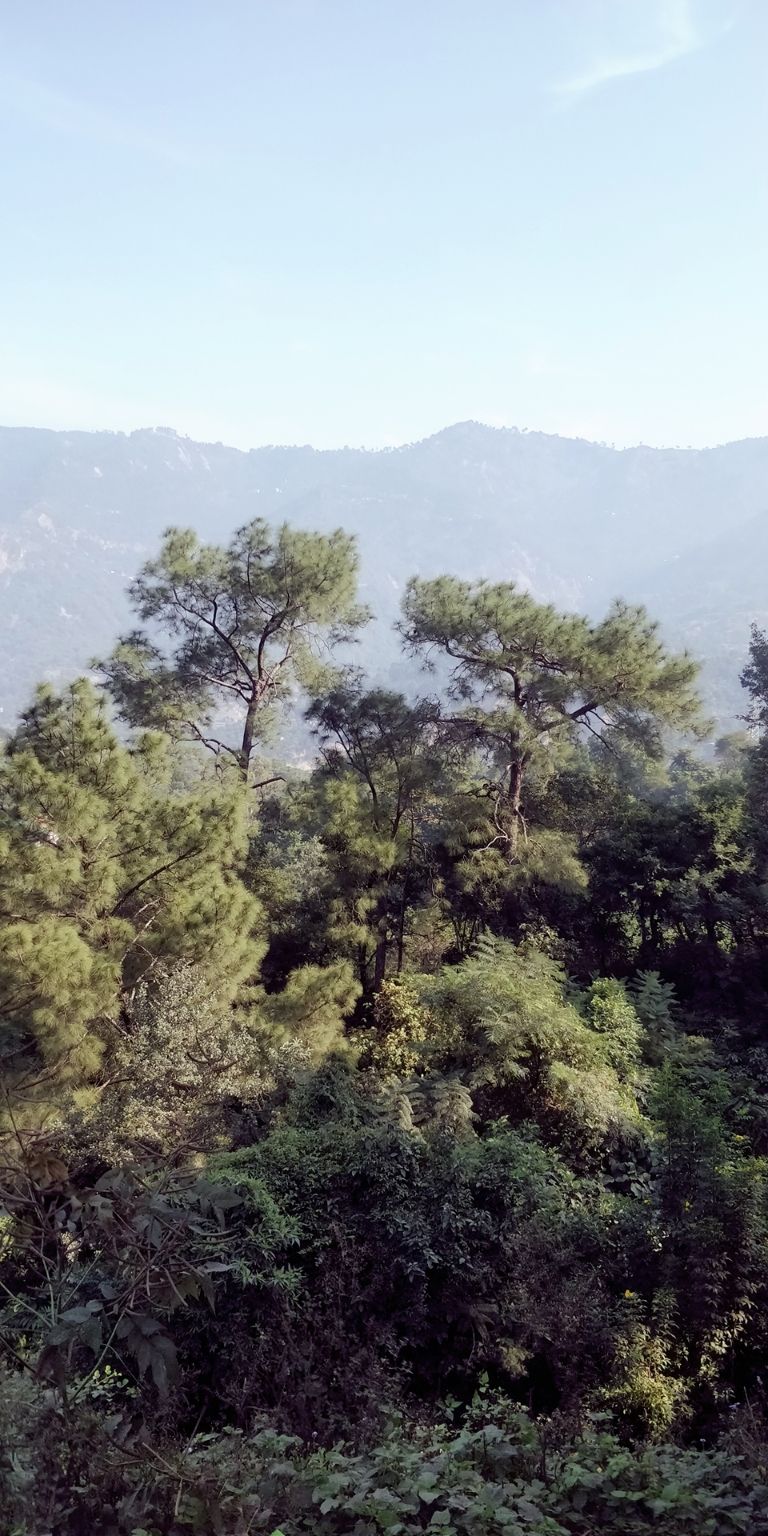 Photo of Mandi, Himachal Pradesh, India by Kapil Bhardwaj