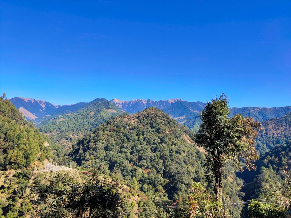 Photo of Hotel White Stone Barot, Barot, Himachal Pradesh, India by Kapil Bhardwaj