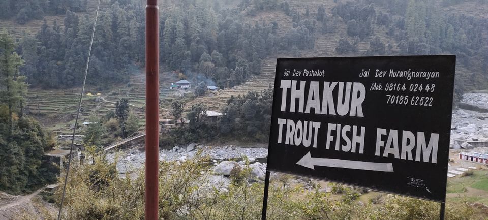 Photo of Trout Fish Farm, Ghatasani-Barot Road, Barot, Himachal Pradesh, India by Kapil Bhardwaj