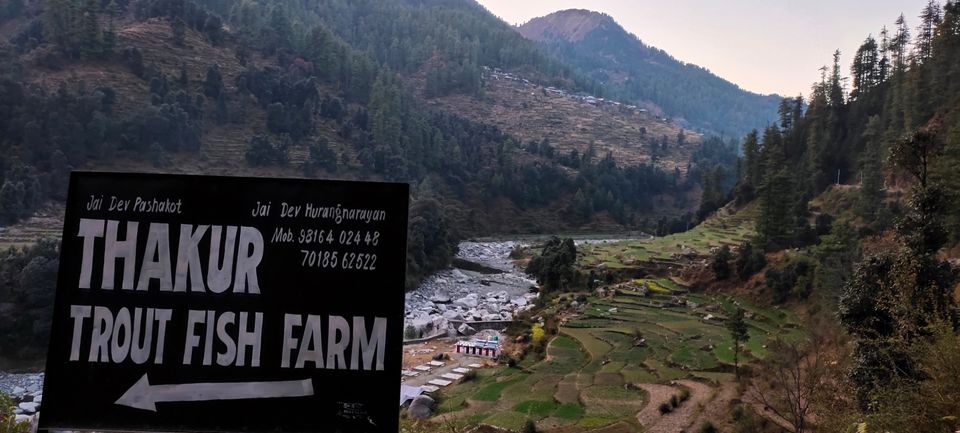 Photo of Trout Fish Farm, Ghatasani-Barot Road, Barot, Himachal Pradesh, India by Kapil Bhardwaj