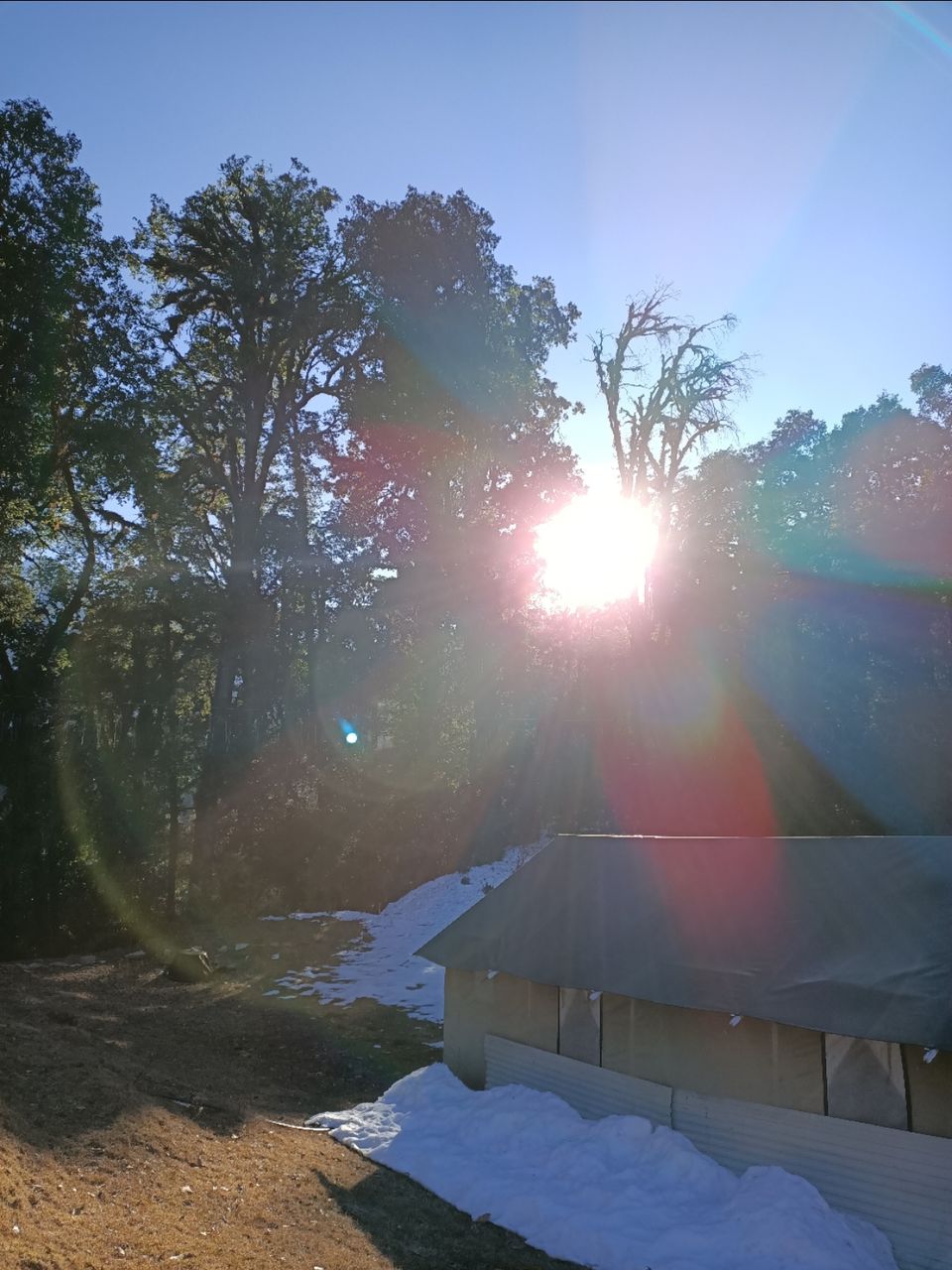 Photo of Mountain Delight Camp, Duggal Bittha, Uttarakhand, India by Kapil Bhardwaj