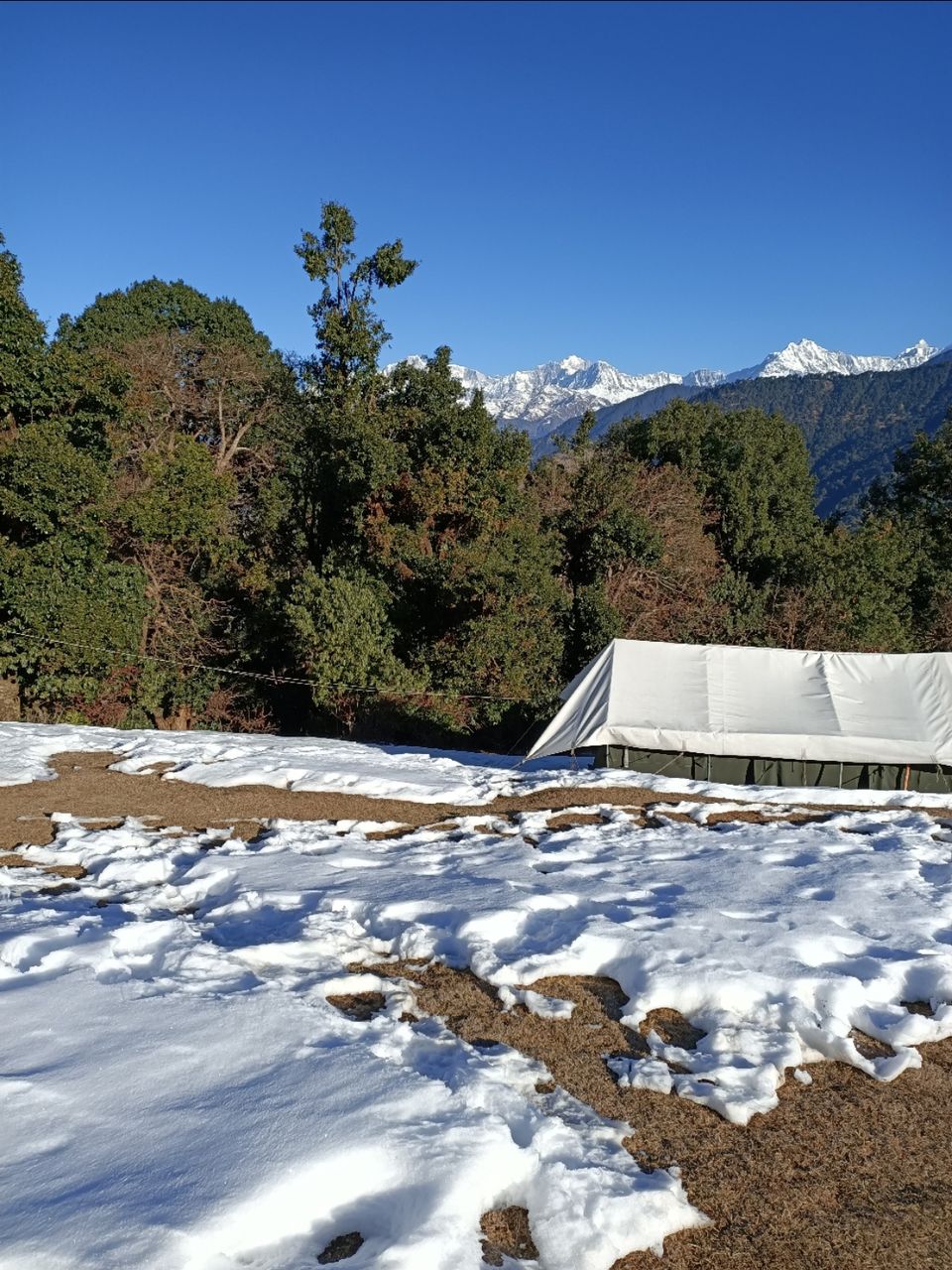 Photo of Mountain Delight Camp, Duggal Bittha, Uttarakhand, India by Kapil Bhardwaj