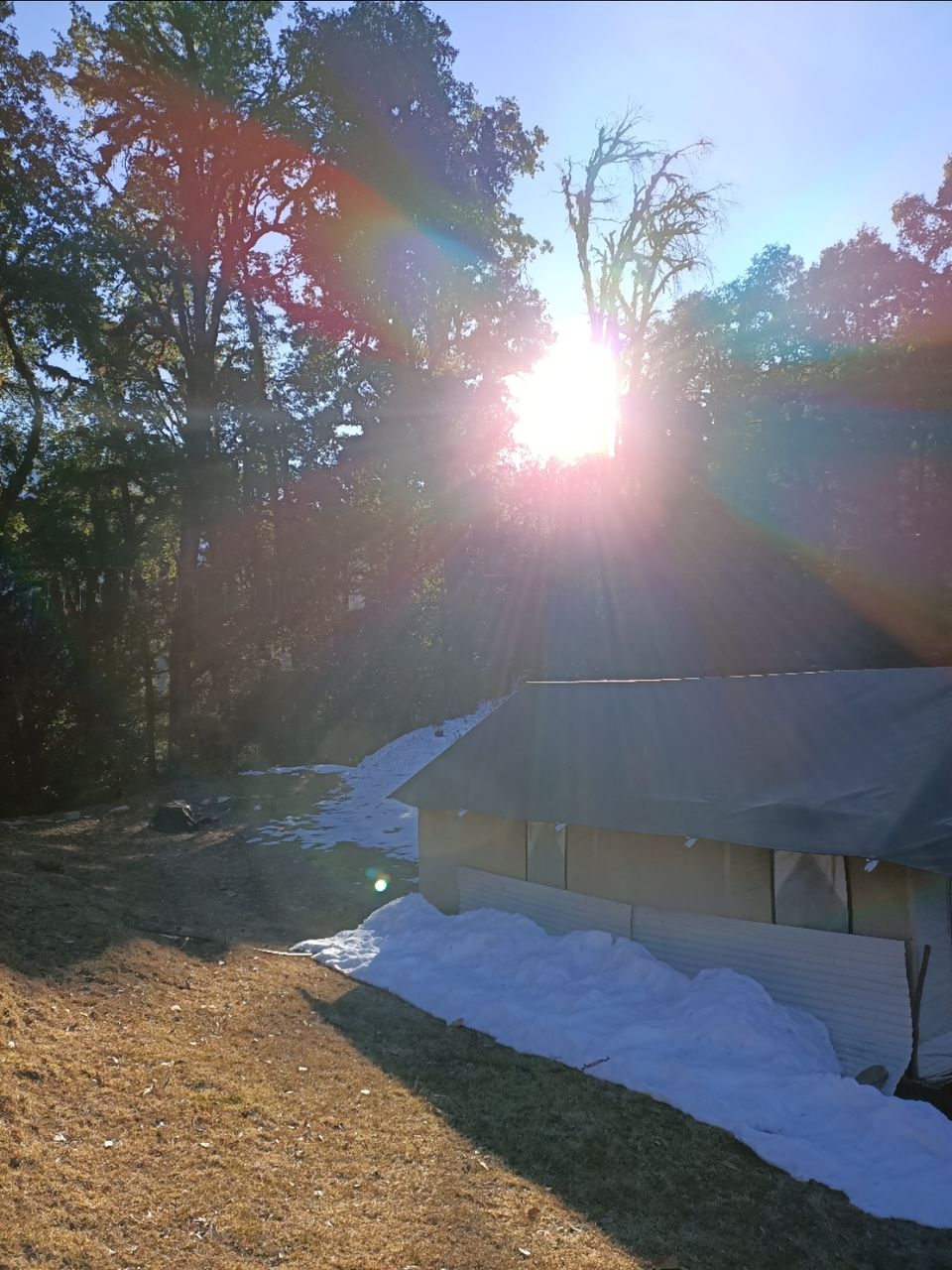 Photo of Mountain Delight Camp, Duggal Bittha, Uttarakhand, India by Kapil Bhardwaj
