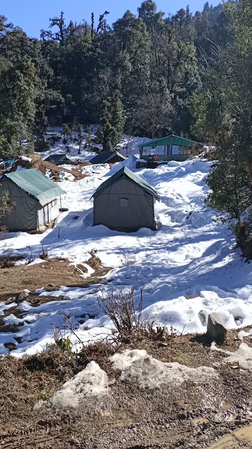 Photo of Mountain Delight Camp, Duggal Bittha, Uttarakhand, India by Kapil Bhardwaj