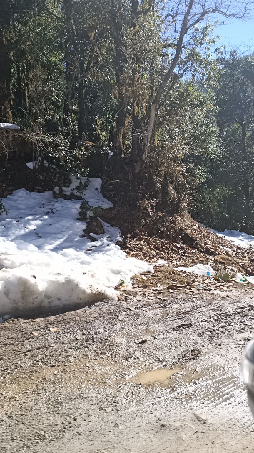 Photo of Mountain Delight Camp, Duggal Bittha, Uttarakhand, India by Kapil Bhardwaj