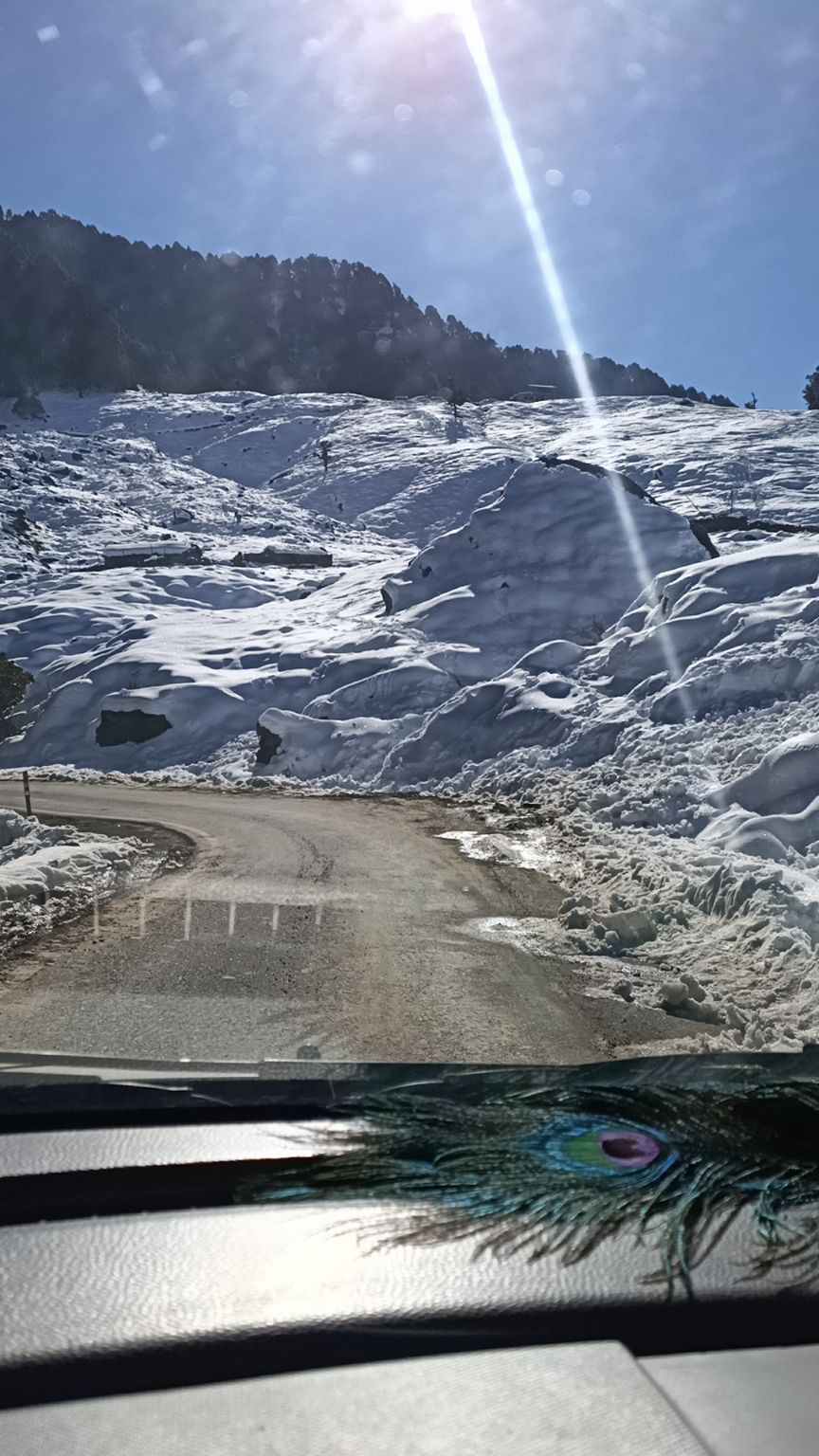 Photo of Chopta, Uttarakhand, India by Kapil Bhardwaj