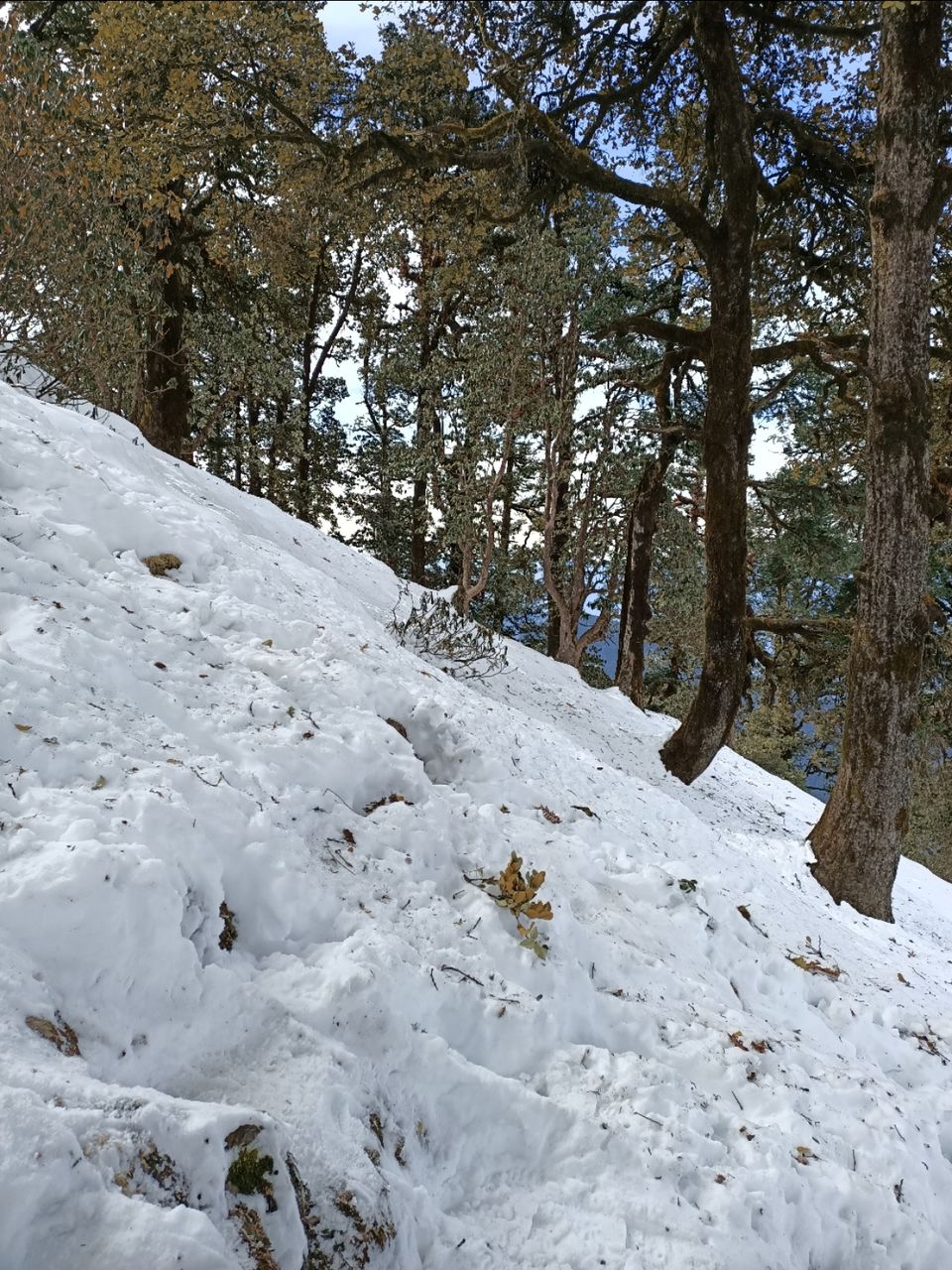 Photo of Tungnath, Uttarakhand, India by Kapil Bhardwaj