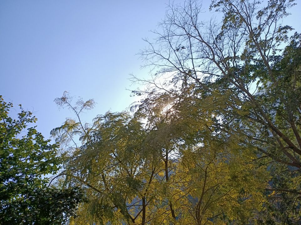 Photo of Bhainsora, Uttarakhand, India by Kapil Bhardwaj