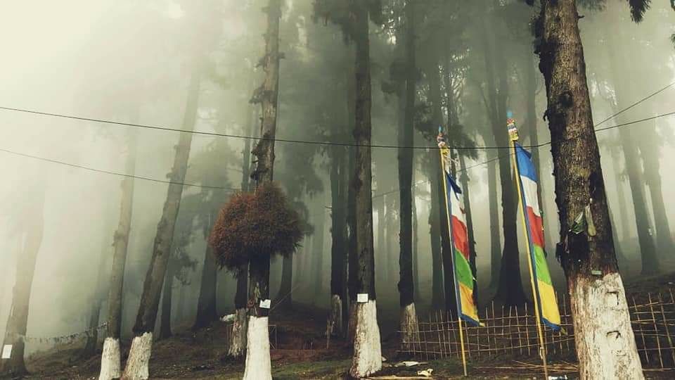 Photo of Lepcha jagat:Happiness in Air by Manish Singh