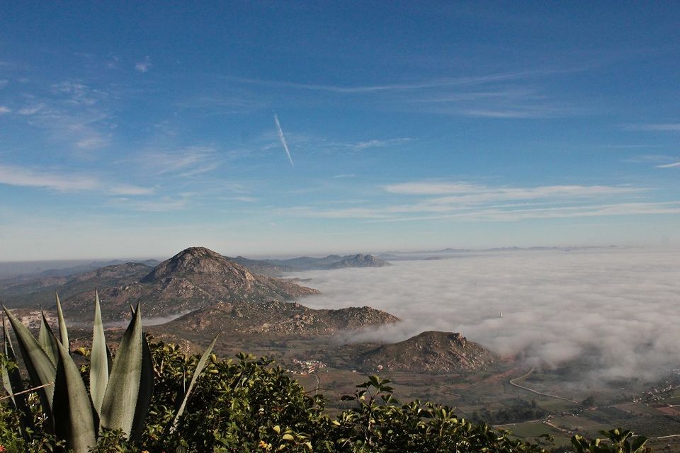 Photo of Bangalore's heaven: Nandi Hills by Girl with Green backpack