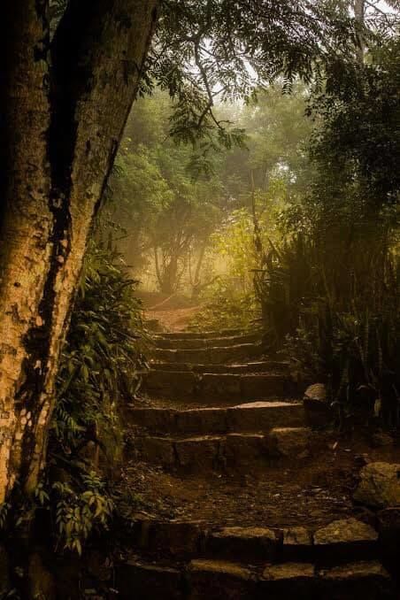 Photo of Bangalore's heaven: Nandi Hills 4/6 by Girl with Green backpack