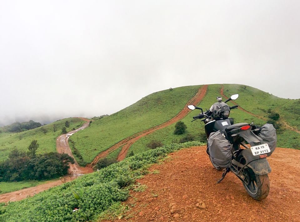 Photo of Pluviophile Diaries – Green and Wet Coorg – Mandalpatti 3/11 by GoProMan