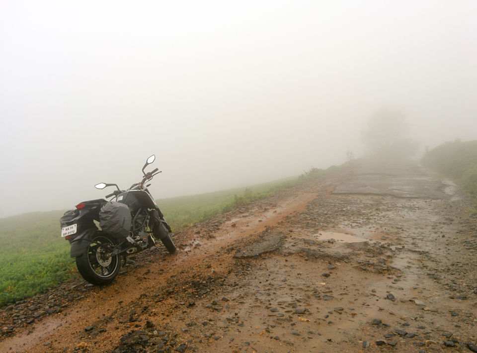 Photo of Pluviophile Diaries – Green and Wet Coorg – Mandalpatti 5/11 by GoProMan