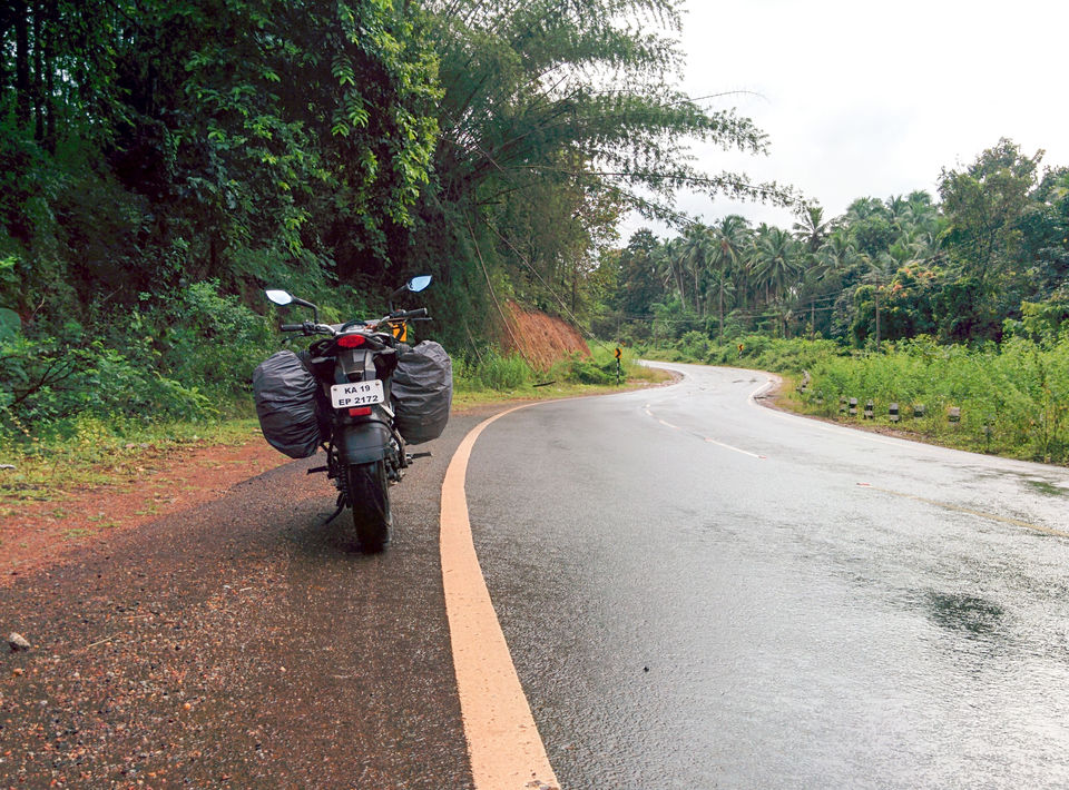 Photo of Pluviophile Diaries – Green and Wet Coorg – Mandalpatti 10/11 by GoProMan