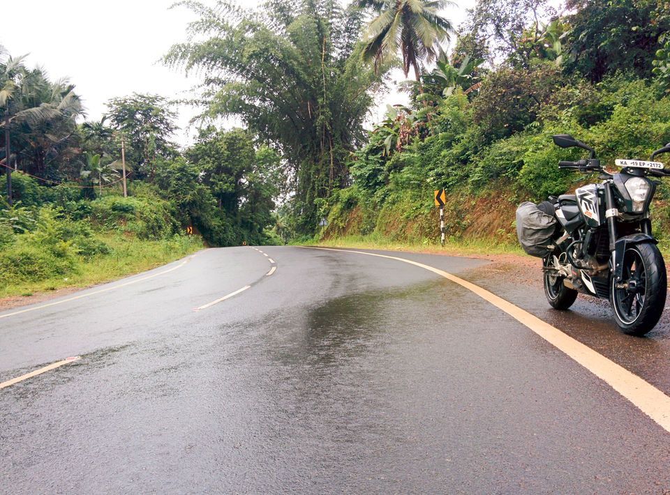 Photo of Pluviophile Diaries – Green and Wet Coorg – Mandalpatti 11/11 by GoProMan