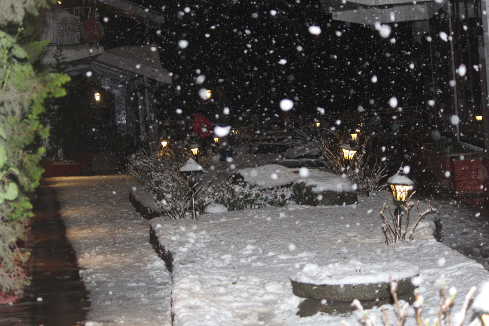 Photo of Dalhousie, Himachal Pradesh, India by Twinkle