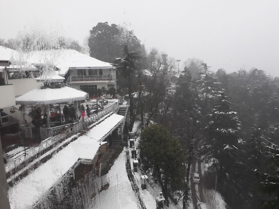 Photo of Counting Peace with Snowfall by Twinkle