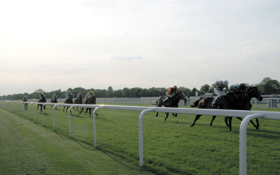 Photo of Royal Ascot, Sunninghill and Ascot, Windsor and Maidenhead, United Kingdom by Tsai Wharton
