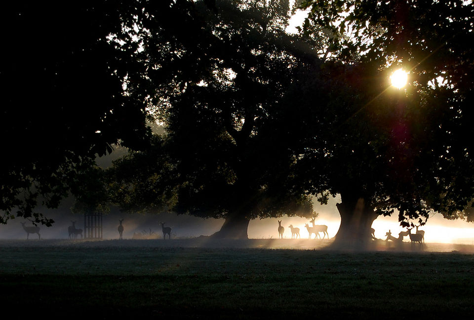 Photo of Weekend Getaways: A Guide to Windsor, Berkshire by Tsai Wharton