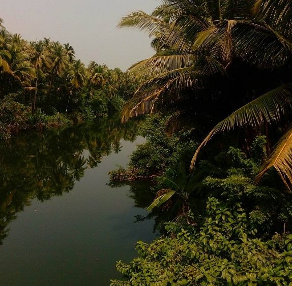 Photo of The Other Side of Goa 1/1 by Sayantan Saha