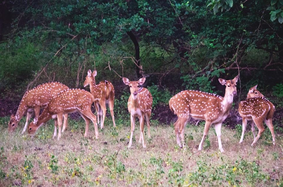 Photo of Chasing Sunsets: A Western India road-trip by Sayantan Saha