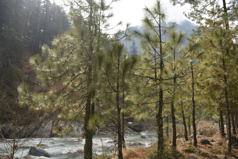 Photo of The Land of Lord Shiva - Parvati Valley and its apex village Tosh 2/17 by Sayantan Saha