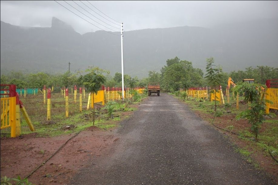 Photo of Nature resorts near Mumbai you may not visit by Jayesh Bhanushali