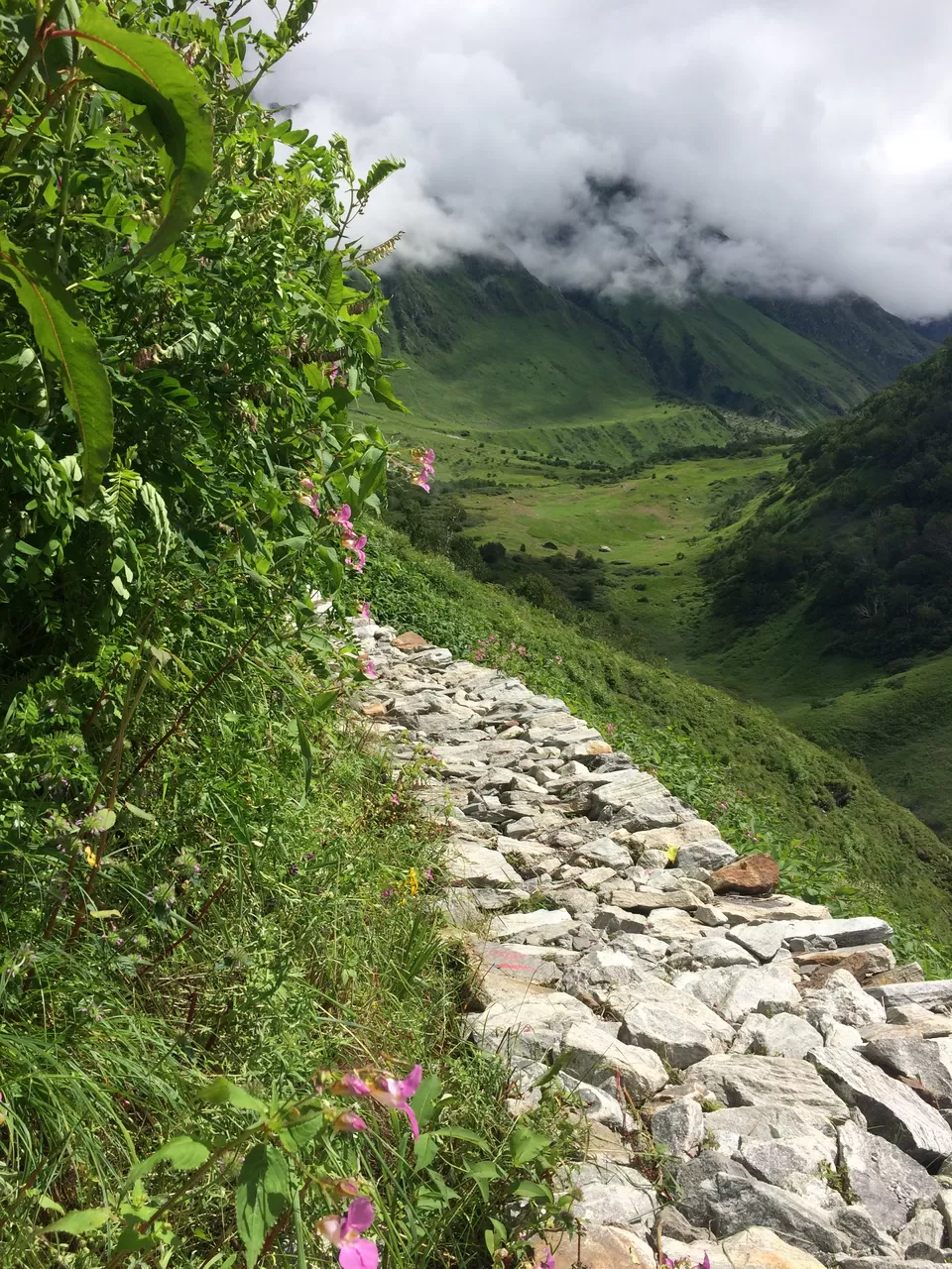 Photo of Valley of Flowers National Park, Uttarakhand, India by Poonam Kanyal