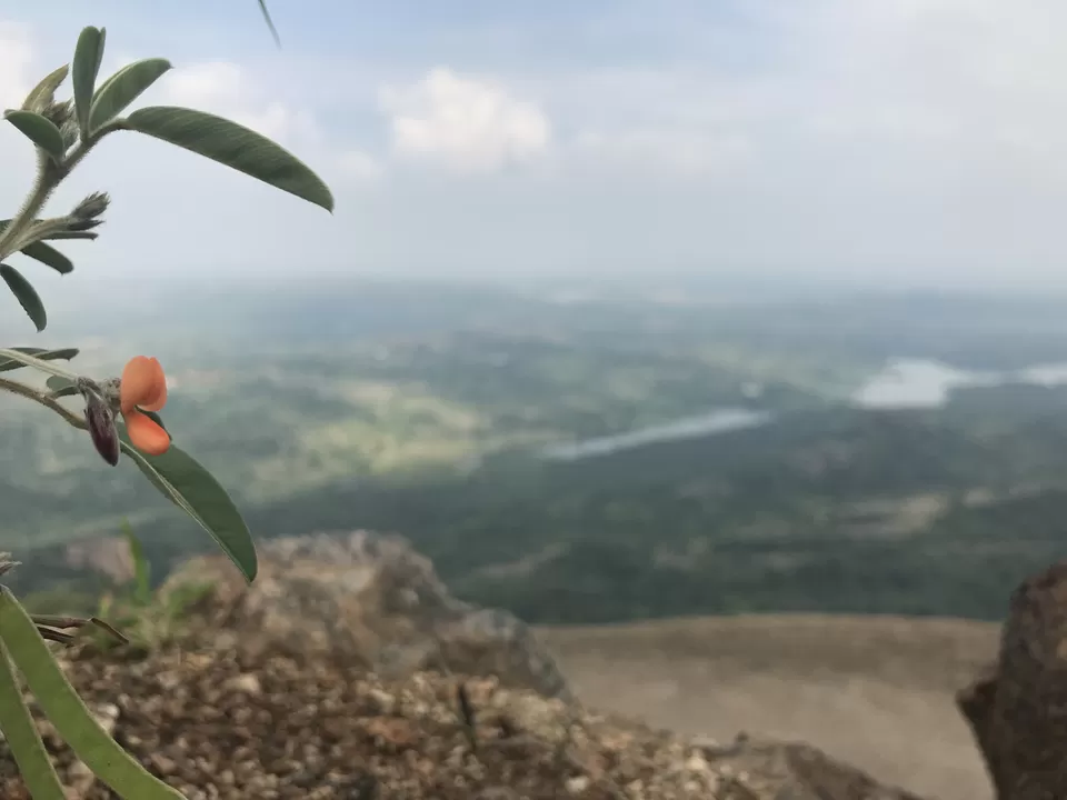 Photo of Savandurga Hill, Karnataka by Poonam Kanyal