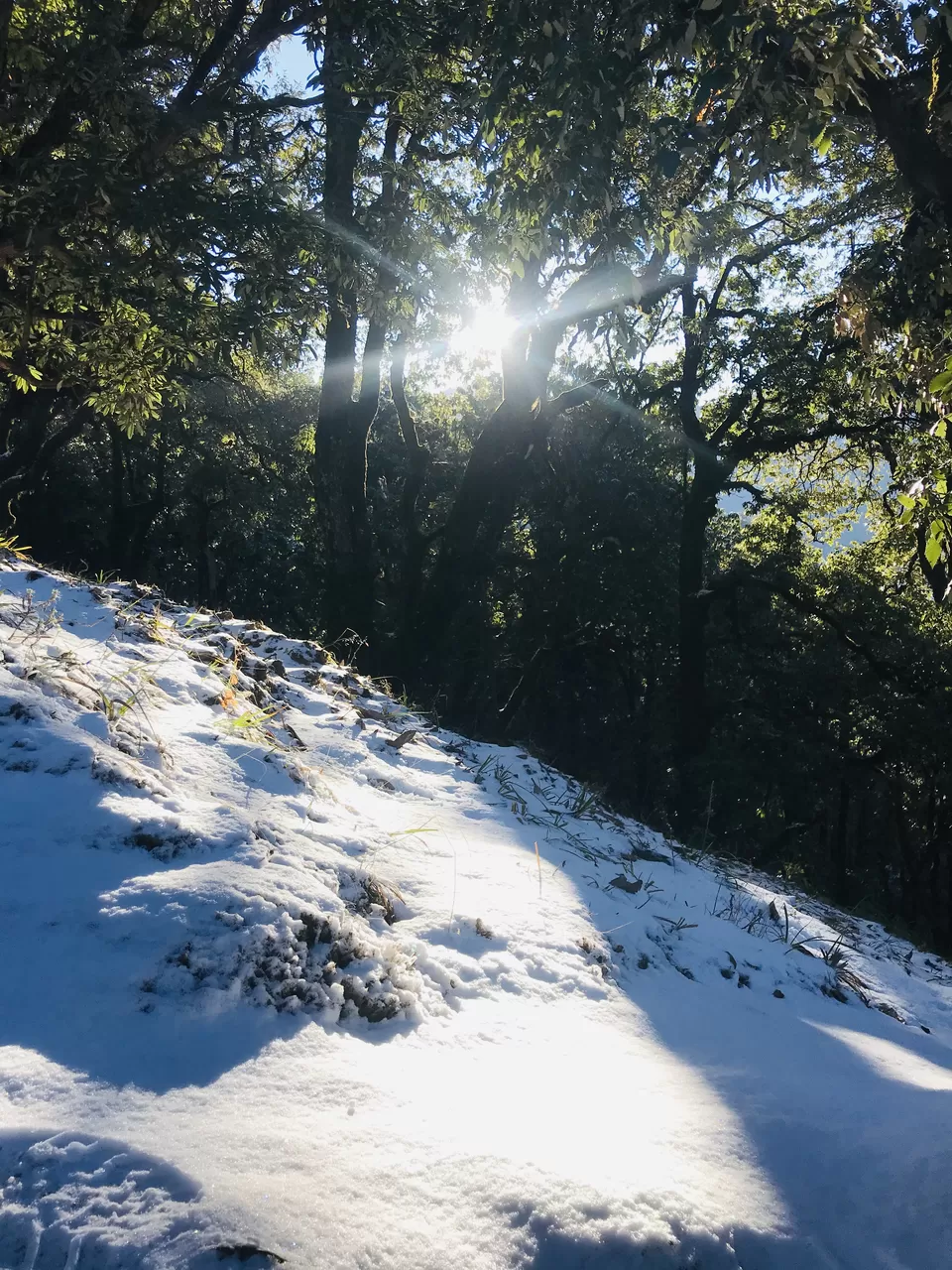 Photo of Nag Tibba, Jaunpur Range, Uttarakhand by Poonam Kanyal