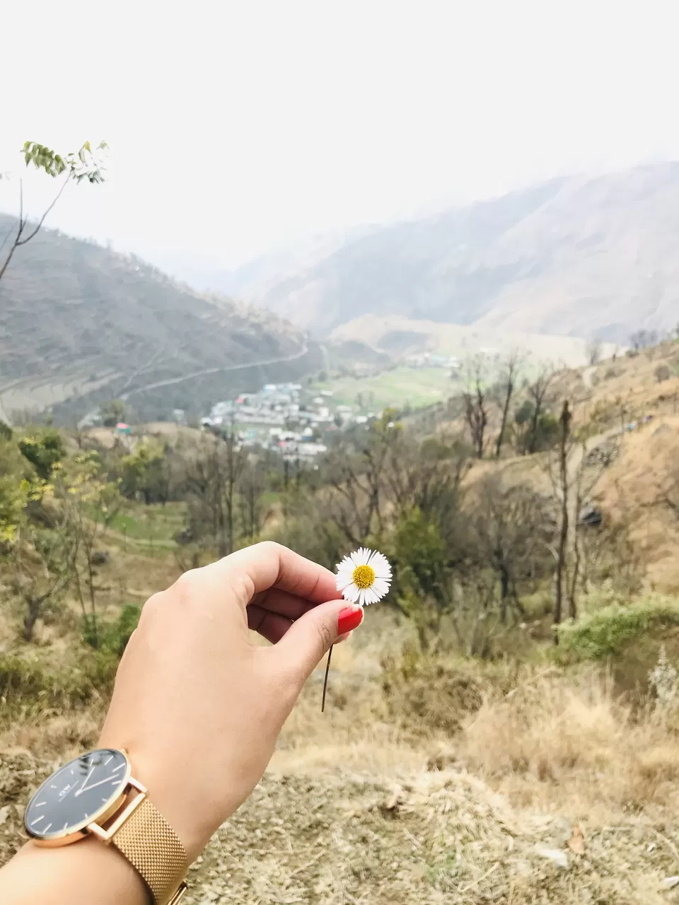 Photo of Pantwari, Uttarakhand, India by Poonam Kanyal