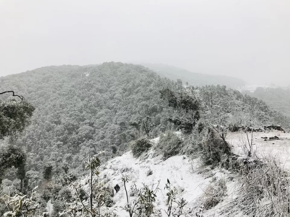 Photo of Nag Tibba Base Camp, Jaunpur Range, Uttarakhand, India by Poonam Kanyal