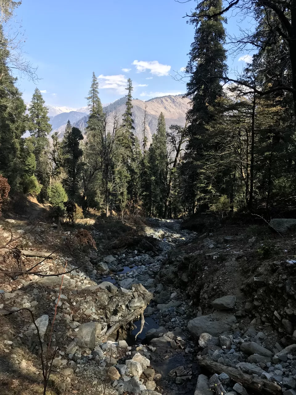 Photo of Sankri, Uttarakhand, India by Poonam Kanyal