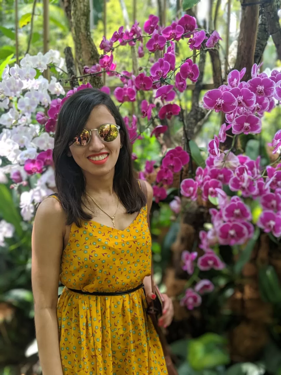 Photo of Cluny Road, Singapore Botanic Gardens, Singapore by Poonam Kanyal