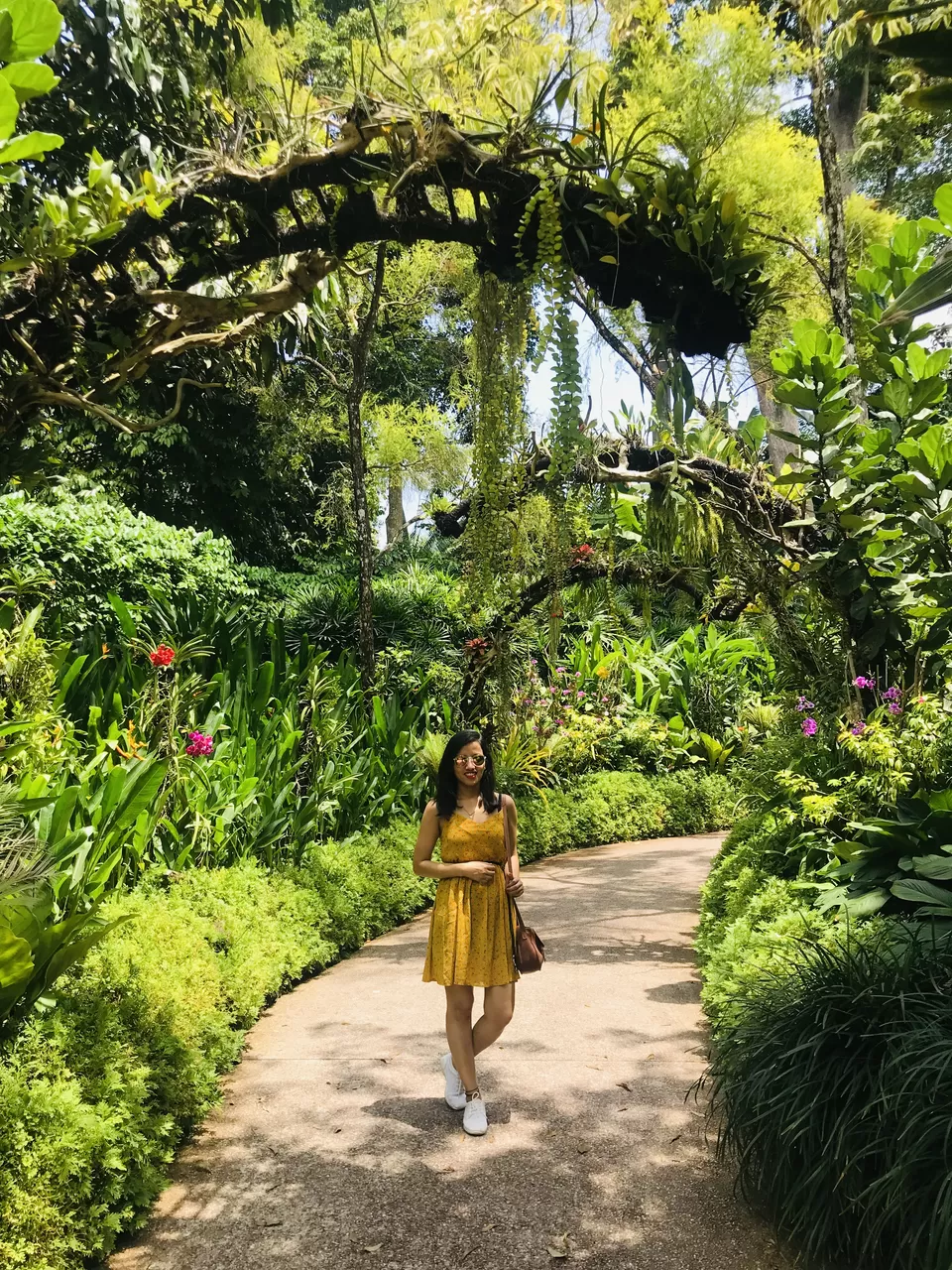 Photo of Cluny Road, Singapore Botanic Gardens, Singapore by Poonam Kanyal