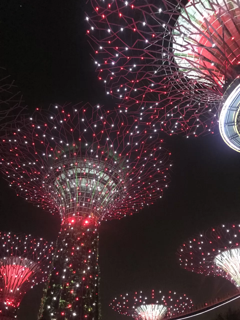 Photo of Marina Gardens Drive, Gardens by the Bay, Singapore by Poonam Kanyal