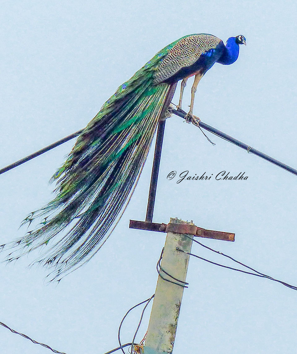Photo of A pocket friendly launch into the UNIVERSE by Jaishree Chadha