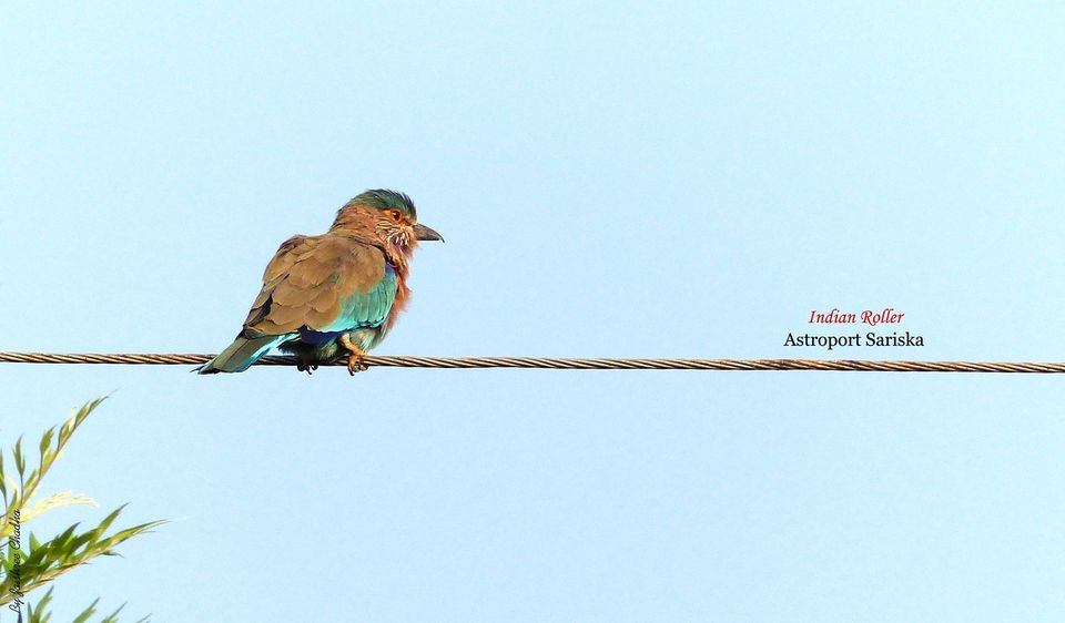 Photo of A pocket friendly launch into the UNIVERSE by Jaishree Chadha