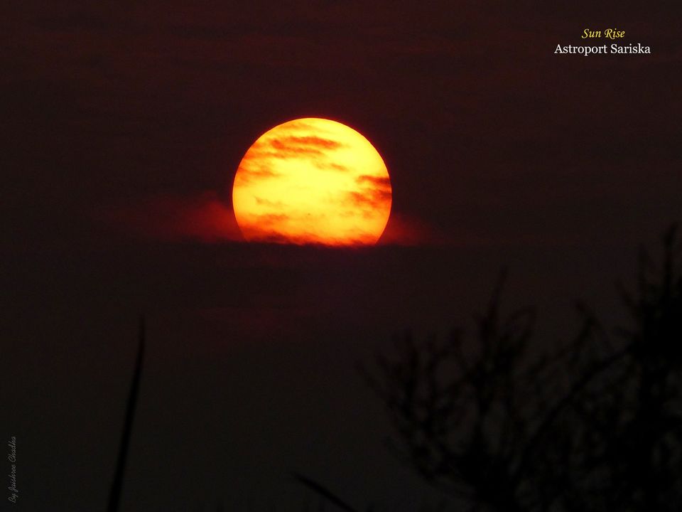 Photo of A pocket friendly launch into the UNIVERSE by Jaishree Chadha