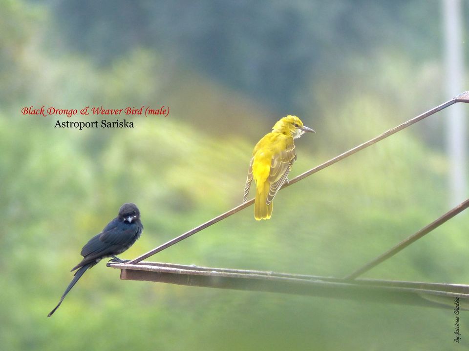Photo of A pocket friendly launch into the UNIVERSE by Jaishree Chadha