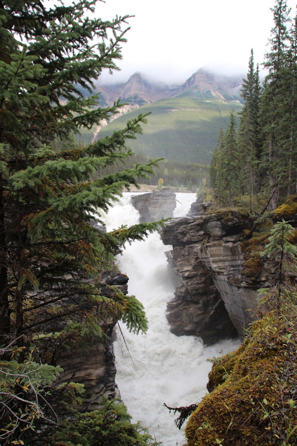 Photo of Athabasca Falls, Improvement District No. 12, Alberta, Canada by Jens Van De Voorde